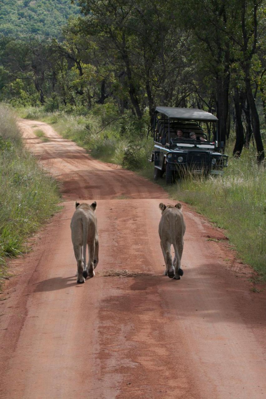 Inzalo Safari Lodge Welgevonden Ngoại thất bức ảnh